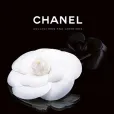 CHANEL COLLECTION AND CREATIONS