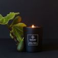 FICUS CANDLE  BOOST YOUR CONFIDENCE (180G)