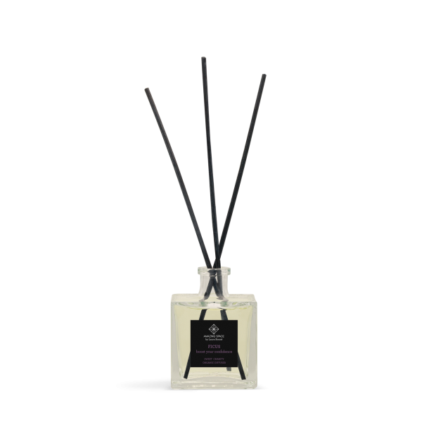 FICUS DIFFUSER bBOOST YOUR CONFIDENCE (100ML)