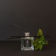 MINT DIFFUSER  ENERGIZE YOUR BODY (100ML)