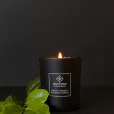 WHITE TEA CANDLE  FOCUS YOUR ENERGY (180G)